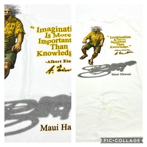Albert Einstein Hawaii Imagination and knowledge Maui Hawaii  T - Picture 1 of 10